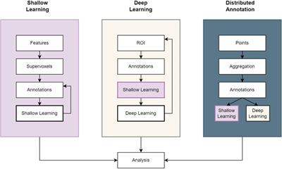 SuRVoS 2: Accelerating Annotation and Segmentation for Large Volumetric Bioimage Workflows Across Modalities and Scales
